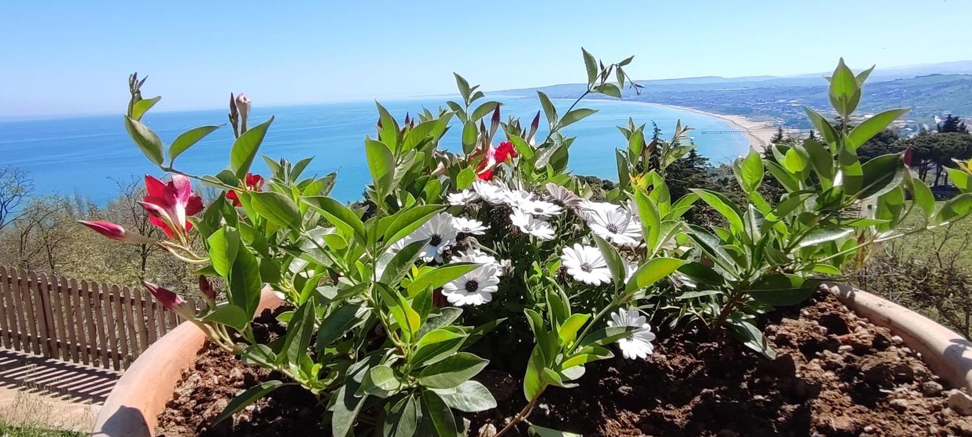 Oltre Confine Fronte Mare Villa Марина ди Монтенеро Екстериор снимка